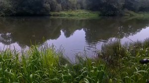 Первая в этом году щука на живца