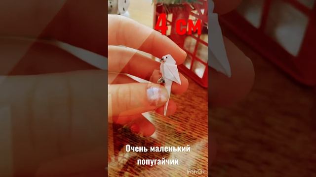 Очень маленький попугай из бумаги! Как назовем? ??