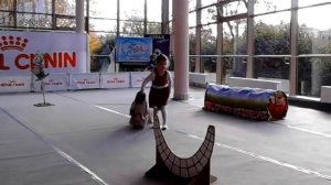 Кинологический фристайл