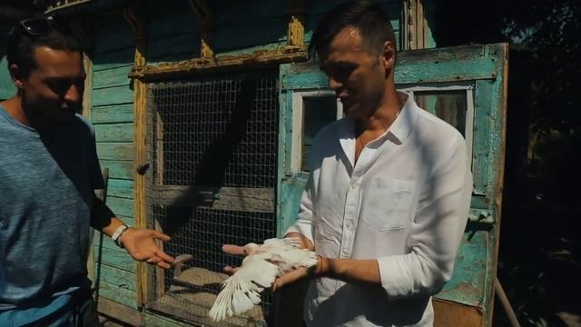 Дома лучше! Вдоль Днепра. Кременчуг