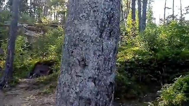 Поход на 50 километров от Приозерска до Хийтолы смотреть онлайн