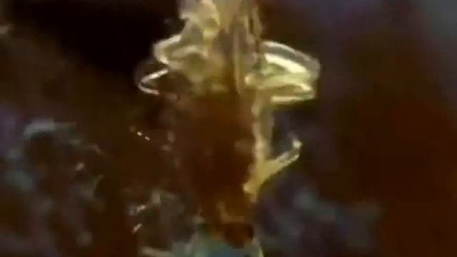 Уникальные кадры   спаривание постельных клопов!