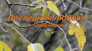 Последняя любовь