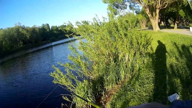 Street Fishing в Пскове. Рыбалка с берега на реке Пскова. Щучка и окунь на Лайт. смотреть онлайн