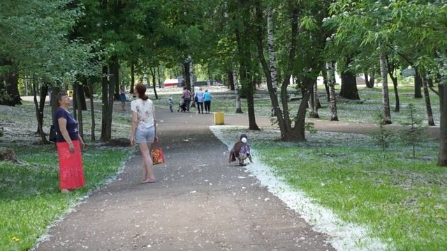 26.05.2016. Киров,Вятка,тополиный пух,жара.. смотреть онлайн