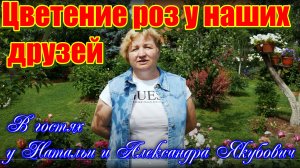 Видео обзор сада у наших друзей