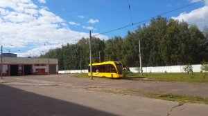 16 08 20223 Ярославский красавчик