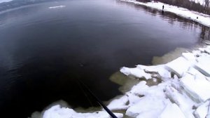 Ловля окуня ранней весной на отводной поводок