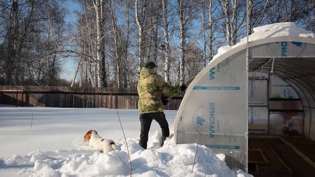 Середина февраля а уже первые работы в питомнике. смотреть онлайн