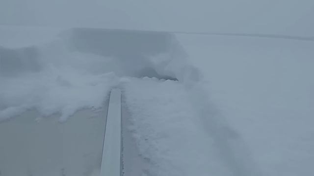 Плёнка 