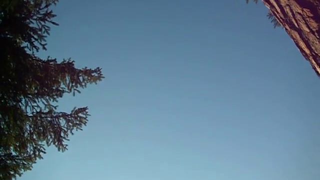 Наши корни - это наши Крылья...Наши крылья - это сенсемилья ! Психотерапевтический туризм. смотреть онлайн