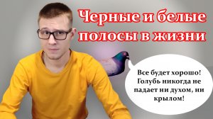 Черные и белые полосы в жизни. Существуют ли полосы в жизни? Как выйти из черной полосы?