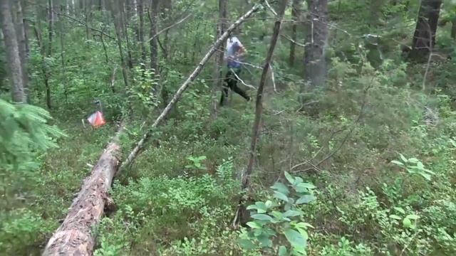 Кубок Волобо 2020 смотреть онлайн