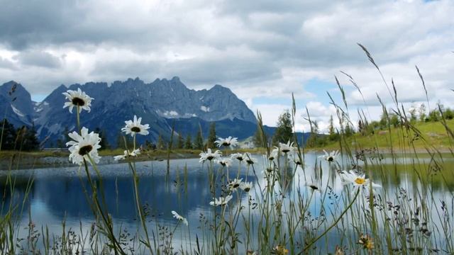 Отличная Музыка Для Отдыха - Потрясающе Красивая Эмоциональная Мелодия, Уносящая Вдаль смотреть онлайн