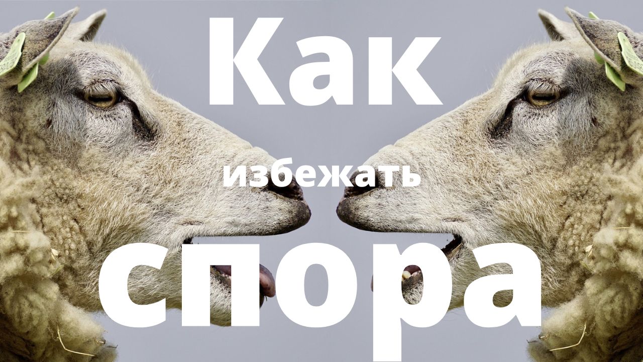Как избежать спора