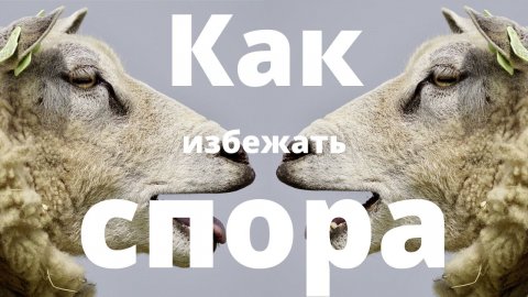 Как избежать спора