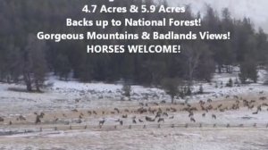 Wyoming Homes for Sale!  Dubois, Lander, Riverton, Jackson Hole Properties for Sale