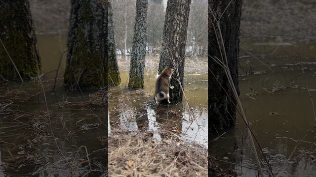 Выжить любой ценой.