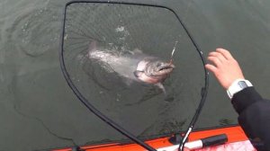 #ТОП 5 блесен на чавычу. Best lures for king salmon