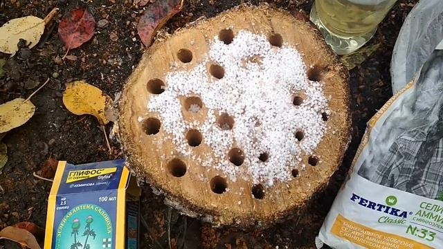 Как быстро удалить дерево без корчевания #удалитьдерево