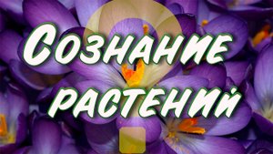 Сознание растений / Последние открытия