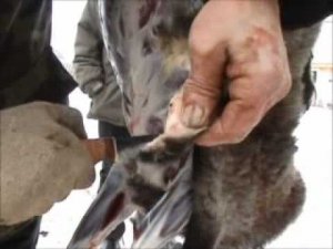 Разделка барана