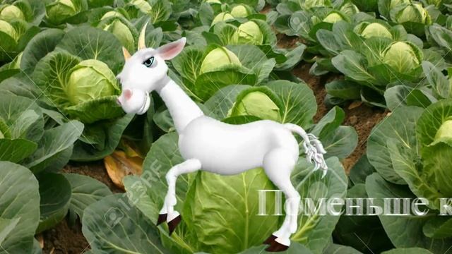 Сергей! С Днем Рождения!!! поздравление - шутка смотреть онлайн