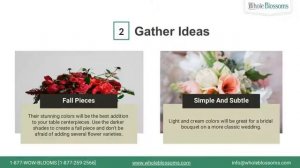 Get Unique Ways to Use Amaryllis Flowers for Distinctive Occasions