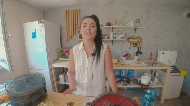 Делаем сухофрукты на даче с помощью сушилки Великие реки Волга 9