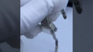 Редкие старинные часы на платине 950 пробы с бриллиантами для ценителей антикварных изделий