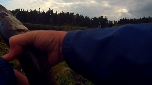 Фидерная рыбалка...плюс поплавочка...