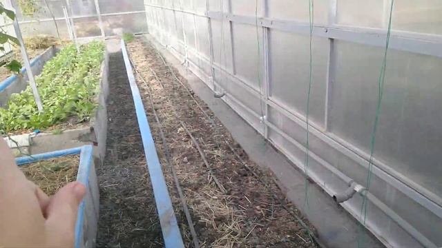 Куда высадила клубнику,что нового в теплице. смотреть онлайн