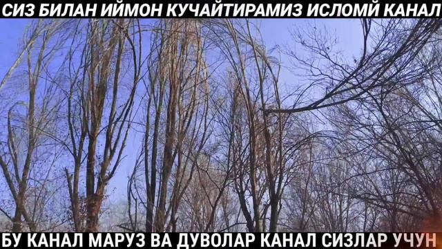 МАШХУР ИНСОНЛАР ЖАНОЗАСИ ЎҚИЛДИ БЫЛИ ПРОЧИТАНЫ ПОХОРОНЫ ИЗВЕСТНЫХ ЛЮДЕЙ Шукуруллох домла солихон