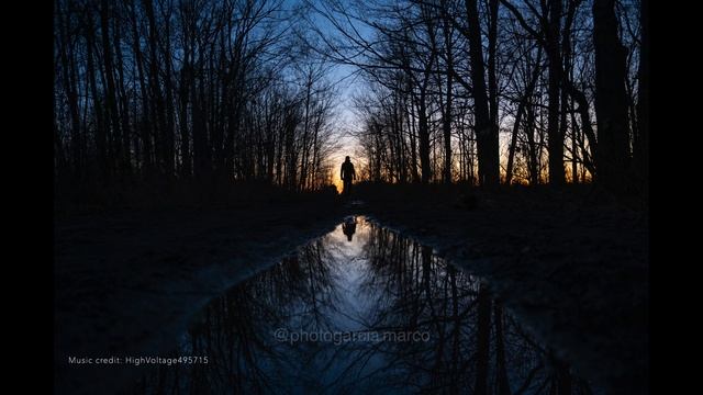 Nikon Z6 II Sample Pictures, 4K Videos, TimeLapse & Stop Motion - Short Intro смотреть онлайн