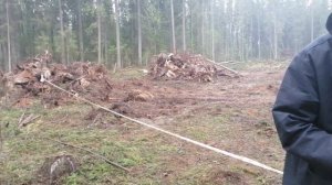 Кадастровый инжинер. Закапываем пни.