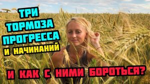 ТРИ ТОРМОЗА ПРОГРЕССА И НАЧИНАНИЙ // Как с ними бороться?