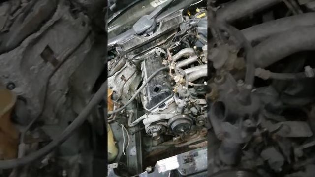 Мерседес 124 на январь