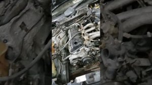 Мерседес 124 на январь