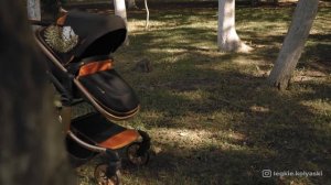 Коляска Aimile Aurum - обзор