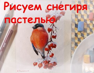 Рисуем снегиря пастелью. Урок по пастели для начинающих - как нарисовать снегиря. Зимние птицы. Викт