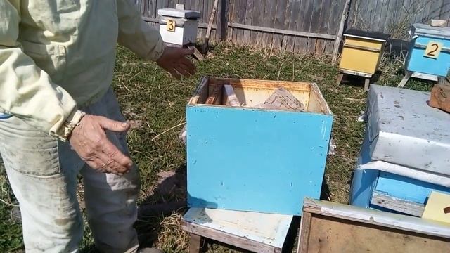 Пасека Лаврова. Готовим пасеку к делению основных семей