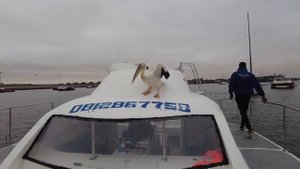 Намибия | Путешествие в Южную Африку