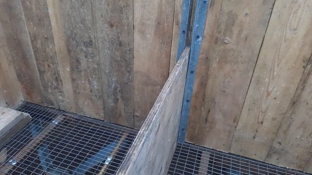 Клетка для кроликов с перегородкой, как сделать самому
