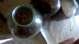 Как сделаем ДОМАШНЕЕ ВИНО и БРАГУ своими руками из винограда.