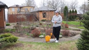 Апрель в саду I Борьба с улитками I Сад Людмилы Кудасовой