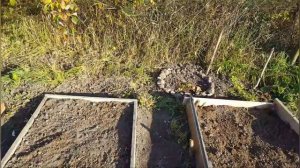 обзор участка 2 сотки