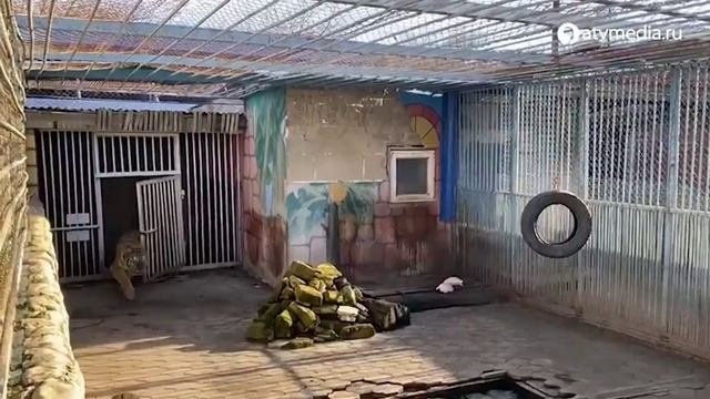 зоопарк в парке Победы