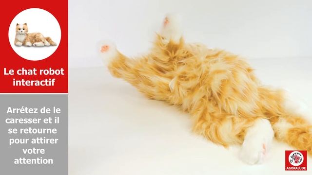 Chat Robot Interactif - Peluche D'empathie Transitionnelle Pour Personnes âgées
