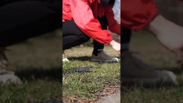 Стикеры в газон и на грядки ✔ Идеи для декора смотреть онлайн