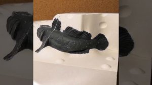 кусковая гипсовая форма снята с лепной пластилиновой модели